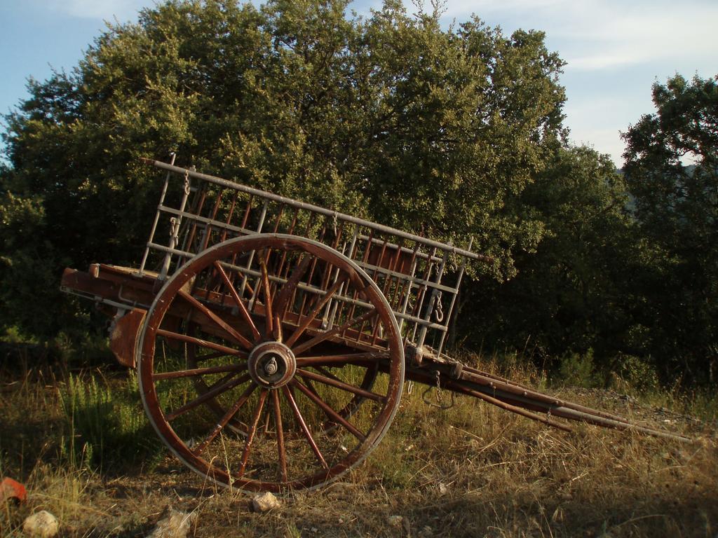 Masia De La Serra De La Cogulla Peñarroya de Tastavins Dış mekan fotoğraf